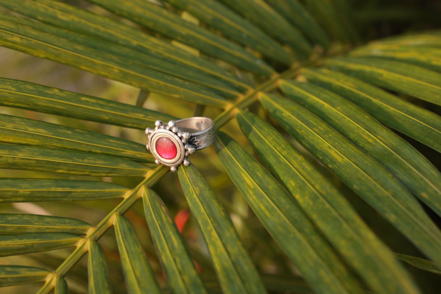 Aroura Ring