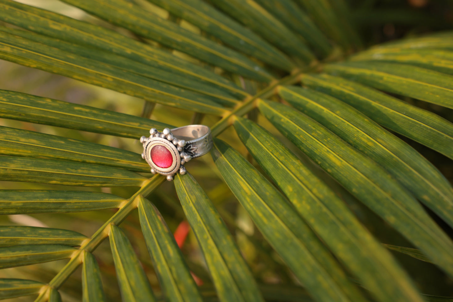 Aroura Ring