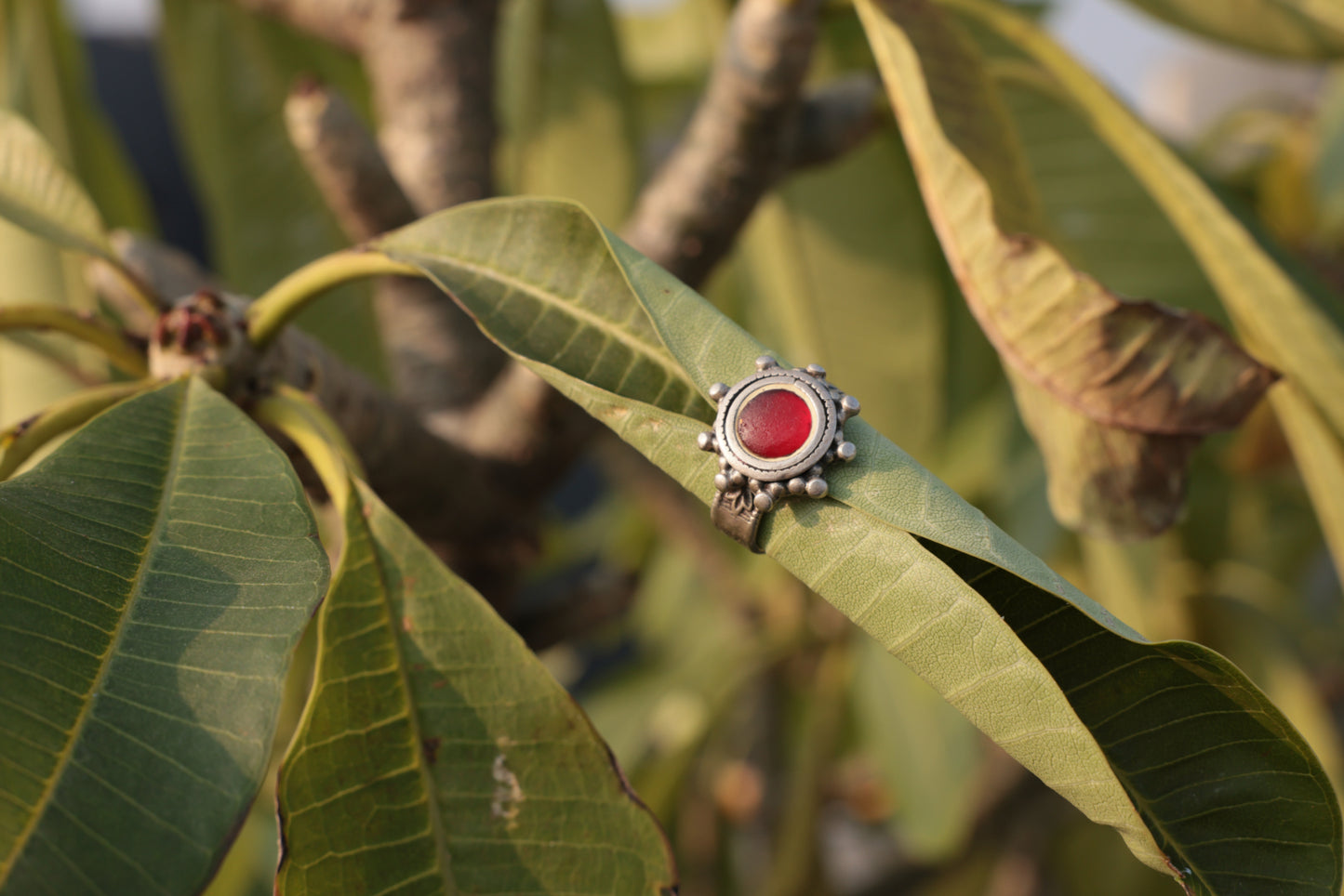 Aroura Ring