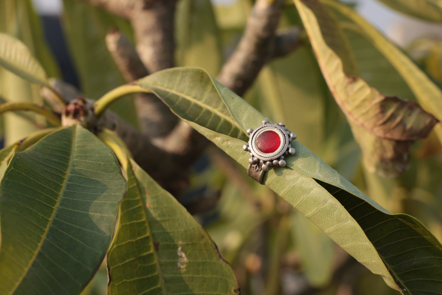 Aroura Ring